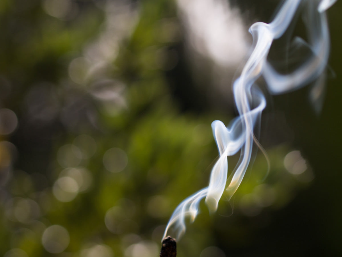 Impacto de Regalos Sostenibles