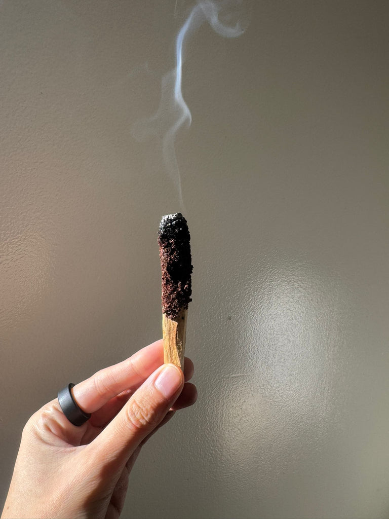 Palo Santo Bañado en Corteza de Canelo – Ritual del Bosque Austral